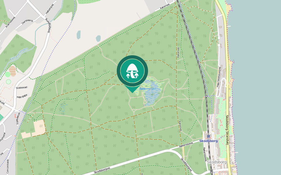 Vis sted på kort